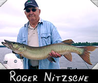 Roger Nitzsche landed this 39 1/2&rdquo; beauty, guided by Bob Heilman
